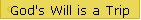 God's Will is a Trip