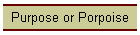 Purpose or Porpoise